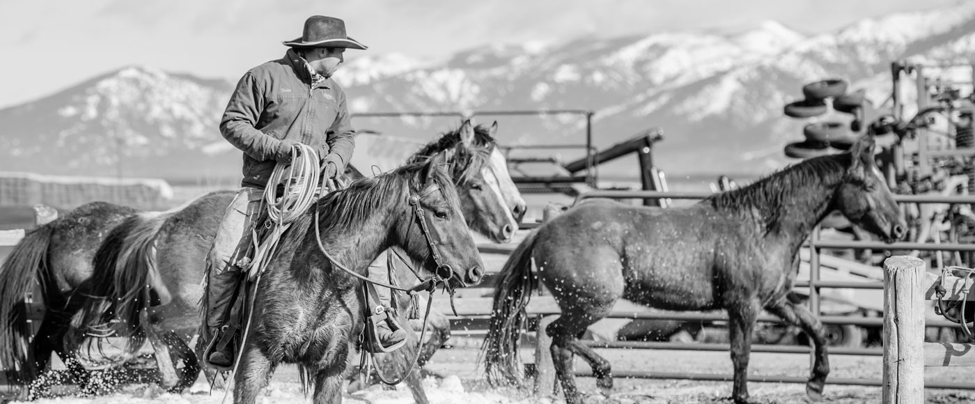 horseback training