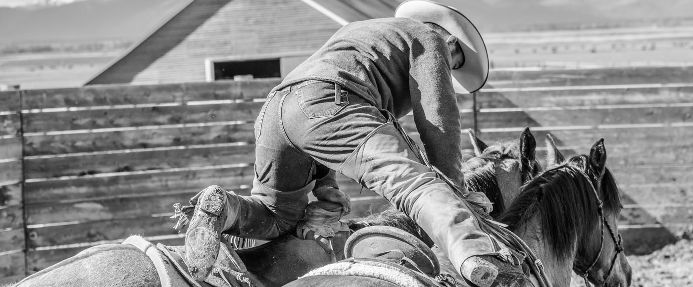 horseback training