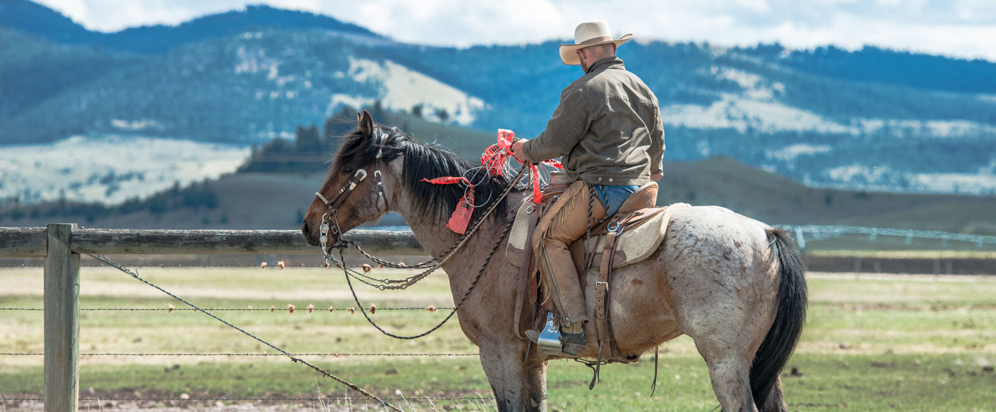 horseback training